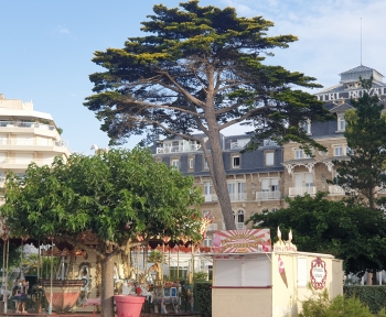 Location Appartement 3 pièces La Baule-Escoublac (44500) - quartier de l'Hotel Royal, face mer